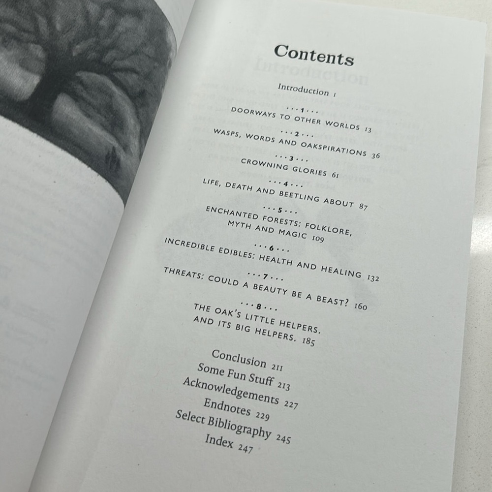🌻4/$20 Oaklore Adventures Book by Jules Acton Paperback Edition 2024 - Picture 10 of 12